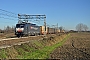 Siemens 21517 - SBB Cargo "ES 64 F4-112"
16.01.2016 - Tavazzano
Marco Stellini