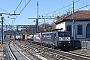 Siemens 21517 - SBB Cargo "ES 64 F4-112"
25.03.2019 - Gallarate
Andre Grouillet