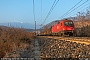 Siemens 21525 - ÖBB "1216 022"
18.02.2017 - Domegliara
Riccardo Fogagnolo