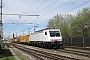 Siemens 21617 - RTS "E 189 822"
24.04.2012 - Bruck an der Leitha
Herbert Pschill