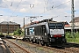 Siemens 21624 - ERC "ES 64 F4-805"
28.08.2020 - Minden (Westfalen)
Thomas Wohlfarth