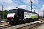 Siemens 21631 - TXL "ES 64 F4-287"
15.08.2015 - Augsburg, Bahnpark
Thomas Girstenbrei