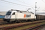 Siemens 21676 - AWT "183 718"
27.05.2016 - Ostrava, hlavní nádraží
Neill Stewart