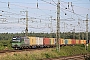 Siemens 21917 - OHE Cargo "193 218"
11.07.2015 - Wunstorf
Thomas Wohlfarth