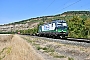 Siemens 21948 - ecco-rail "193 225"
30.08.2022 - Thüngersheim 
Holger Grunow