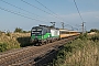 Siemens 21956 - RegioJet "193 222"
14.08.2021 - Gramatneusiedl
Rok Žnidarčič