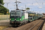 Siemens 21977 - ecco-rail "193 233"
06.07.2022 - Nienburg (Weser)
Thomas Wohlfarth