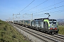 Siemens 22040 - BLS Cargo "401"
13.02.2019 - Muhlau
Michael Krahenbuhl