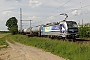 Siemens 22054 - RTB CARGO "193 824"
24.05.2019 - Köln-Porz/Wahn
Martin Morkowsky