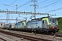 Siemens 22065 - BLS Cargo "404"
10.08.2021 - Pratteln
Theo Stolz