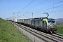 Siemens 22065 - BLS Cargo "404"
21.03.2019 - Muhlau
Michael Krahenbuhl