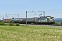 Siemens 22072 - BLS Cargo "411"
02.06.2020 - Mühlau
Peider  Trippi
