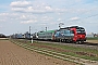 Siemens 22289 - SBB Cargo "193 463"
25.03.2021 - Buggingen
Tobias Schmidt