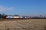 Siemens 22313 - SBB Cargo "193 471"
04.02.2020 - Mortara
Luca Pozzi