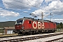 Siemens 22380 - ÖBB "1293 030"
10.08.2024 - Hrpelje-Kozina
Ingmar Weidig