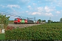 Siemens 22397 - DB Cargo "193 309"
28.09.2019 - Pescantina
Riccardo Fogagnolo