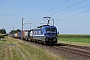 Siemens 22496 - RTB CARGO "193 791"
27.08.2024 - Peine-Woltorf
Gerd Zerulla