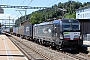 Siemens 22541 - BLS Cargo "X4 E - 711"
20.07.2020 - Gümligen
Theo Stolz