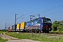 Siemens 22720 - SBB Cargo "193 529"
21.07.2021 - Waghäusel
Wolfgang Mauser