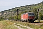 Siemens 22743 - ÖBB "1293 066"
06.08.2024 - Thüngersheim
Ingmar Weidig