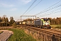 Siemens 22867 - BLS Cargo "421"
07.11.2020 - Hasselt
Wouter De Haeck