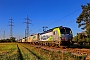 Siemens 22887 - BLS Cargo "423"
07.09.2023 - Wiesental
Wolfgang Mauser