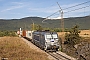 Siemens 23044 - Metrans "383 427-2"
09.08.2024 - Črnotiče
Ingmar Weidig