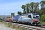 Siemens 23294 - SBB Cargo "6193 111"
15.09.2023 - Riegel-Malterdingen
André Grouillet