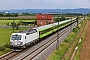 Siemens 23339 - FlixTrain "193 424"
03.08.2024 - Ladenburg
Wolfgang Mauser