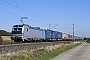 Siemens 23431 - TXL "6193 149"
21.09.2024 - Gallmersgarten-Steinach
André Grouillet