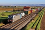 Siemens 23466 - SBB Cargo "6193 166"
23.10.2024 - Ladenburg
Wolfgang Mauser