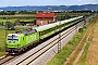 Siemens 23555 - FlixTrain "193 431"
18.07.2024 - Ladenburg
Wolfgang Mauser