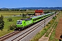 Siemens 23565 - FlixTrain "193 435"
23.08.2024 - Ladenburg
Wolfgang Mauser