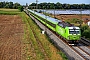 Siemens 23571 - FlixTrain "193 437"
12.08.2024 - Ladenburg
Wolfgang Mauser