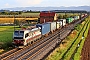 Siemens 23573 - SBB Cargo "193 547"
05.10.2024 - Ladenburg
Wolfgang Mauser